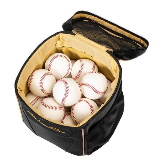 MIZUNO（ミズノ） ミズノ公式 ミズノプロ グラブケース 1個入れ