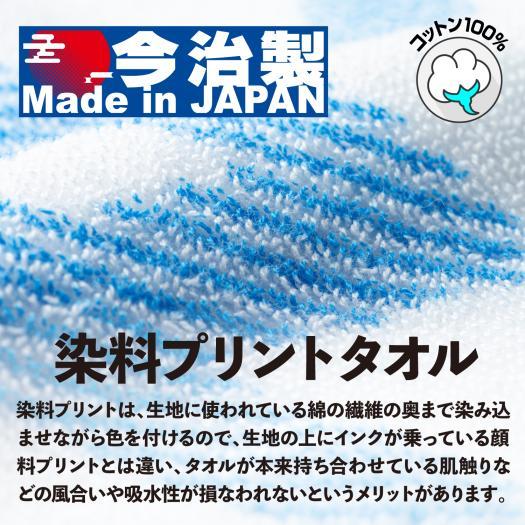BugLug サイン入り　タオル11枚セット MIZUNO（ミズノ） ミズノ公式 今治製タオル/スポーツタオル 箱入り