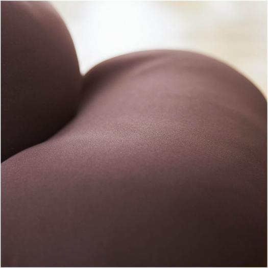 MIZUNO（ミズノ） ミズノ公式 腹筋プルレプラス ブラウン 座椅子