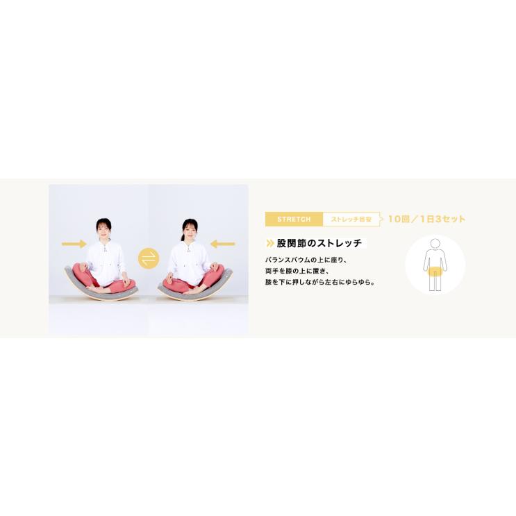 MIZUNO バランスバウム バランスボード トレーニング ダイエット MIZUNO バランスバウム バランスボード トレーニング ダイエット