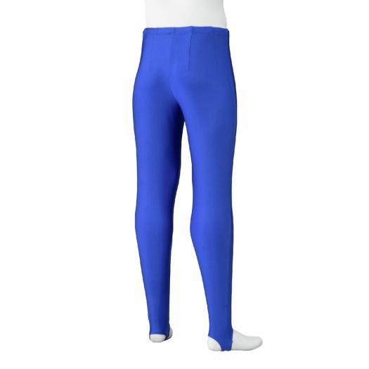 MIZUNO（ミズノ） ミズノ公式 ミズノ直営店限定 体操タイツ Rブルー