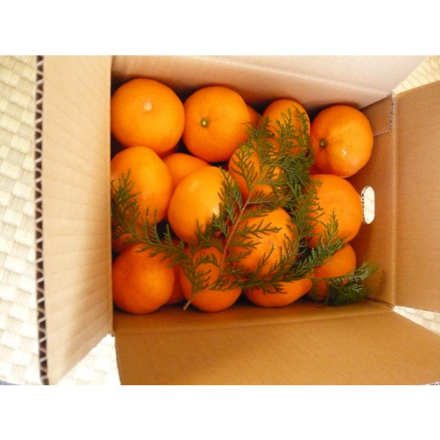 条件付き送料無料 水の子会の温州みかん 10kg S Mikan10 水の子ショップ 通販 Yahoo ショッピング