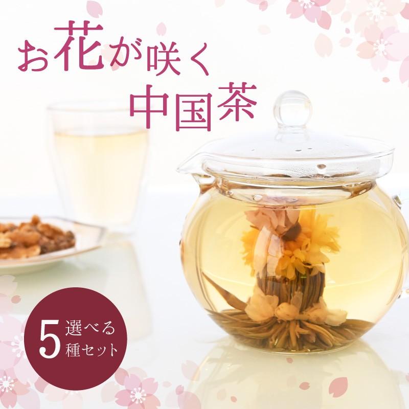 中国茶 花が咲くお茶 選べる5個 セット ギフト 工芸茶 敬老の日 プレゼント China Tea02 水の森 うるおってキレイ 通販 Yahoo ショッピング