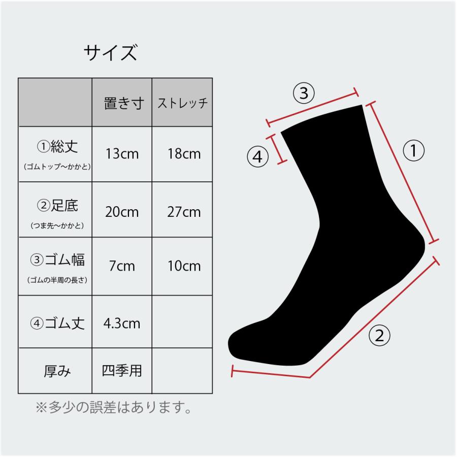 ソックス 靴下 ビジネスソックス 抗菌防臭 10足セット 黒 ギフト プレゼント 男女兼用 22-27cm｜mizunoya｜08