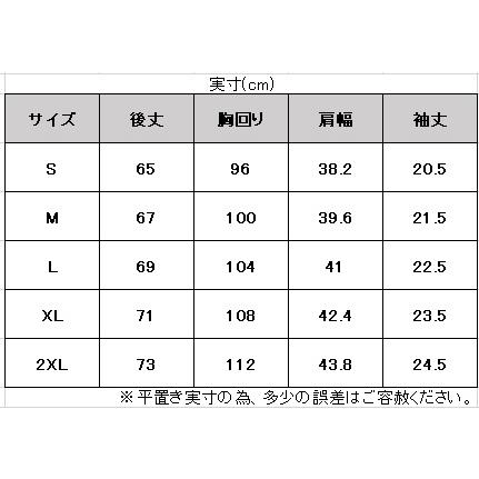 ◆メール便対応商品◆MIZUNO（ミズノ）限定 MORELIA ハイブリッドフィールドポロシャツ（P2MAA005）モレリア サッカー フットボール フットサル 半袖 メンズ｜mizushimasports｜11