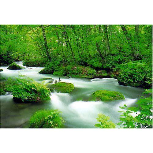日本製 1000ピース ジグソーパズル 奥入瀬 50x75cm 全国組立設置無料 Terrarioskarungen Cl