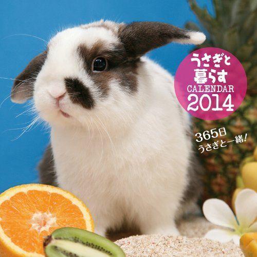 うさぎと暮らすカレンダー14 壁掛け カレンダー 世界の