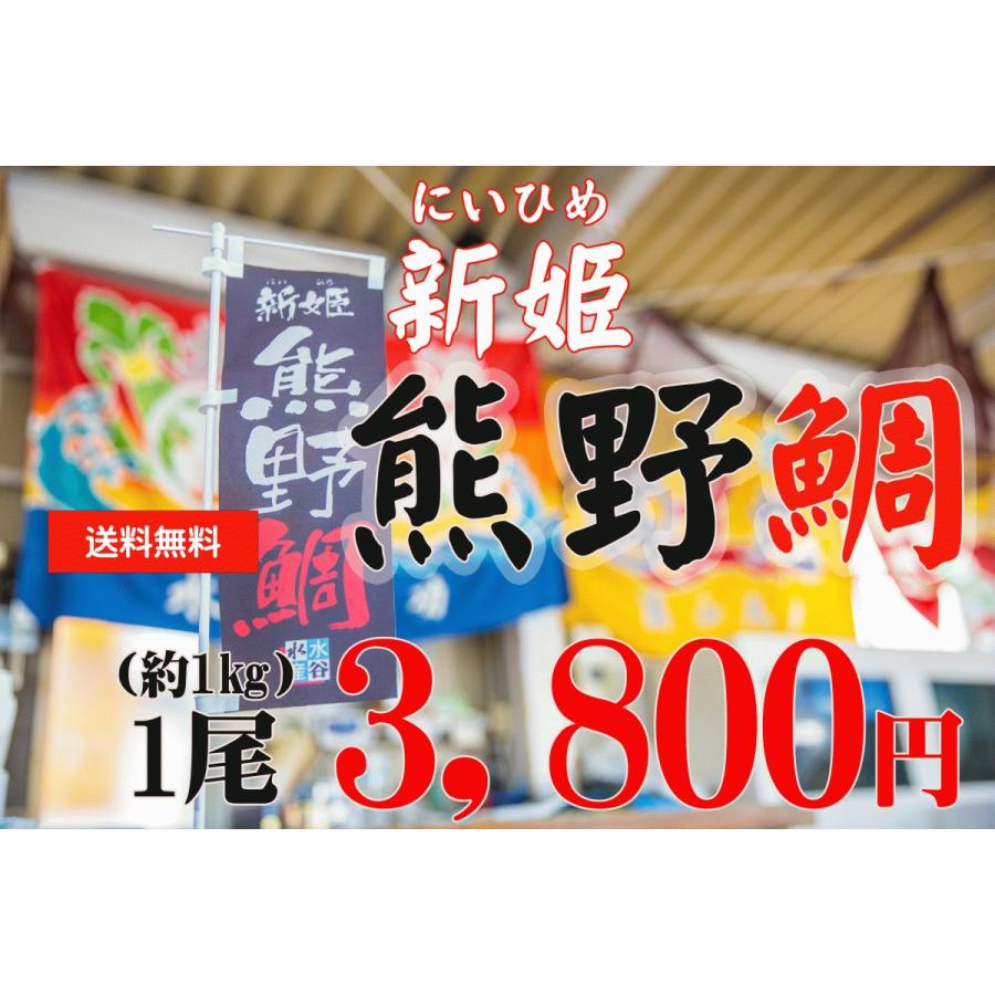 真鯛　活〆 熊野鯛【養殖】送料無料　お祝い事 お食い初めにもどうぞ♪ お刺身 真ダイ　鯛　姿造り 鯛しゃぶ タイの塩焼き｜mizutanisuisanfish｜07