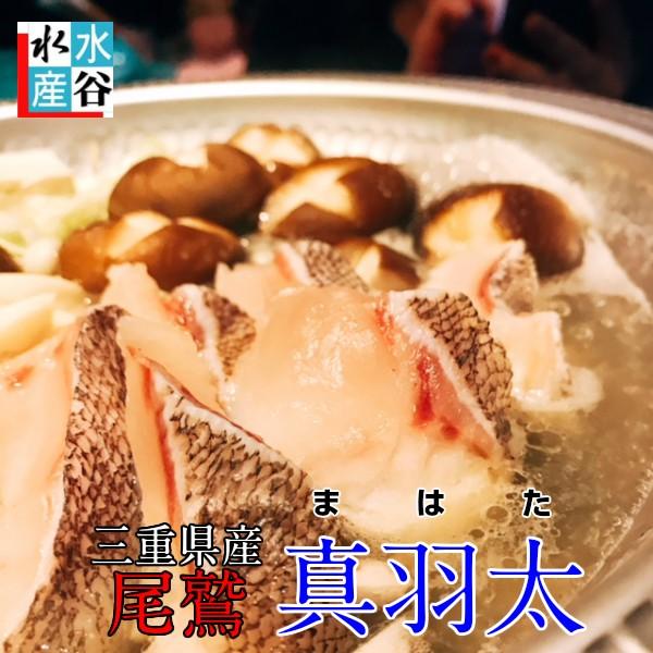 【35％OFF】 直営限定アウトレット 送料無料 幻の高級魚 尾鷲 マハタ 1.3〜1.5kg ハタ クエ鍋 三重県産 生産量日本一 お鍋 お刺身 お寿司 活〆 クエ 鍋 italytravelpapers.com italytravelpapers.com