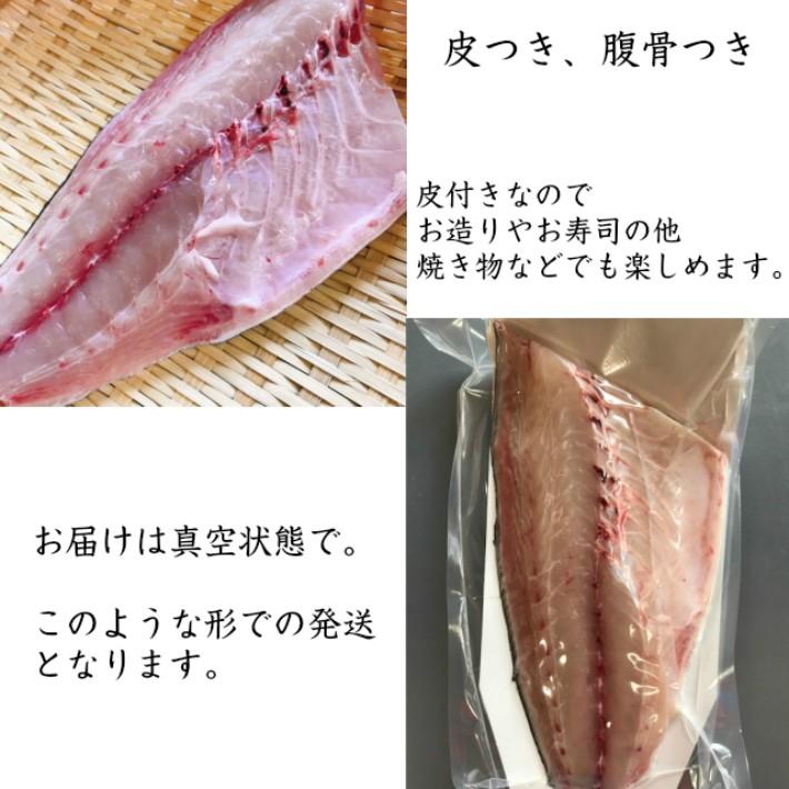 送料無料 大分県産 カンパチ 養殖 片身 かんぱち 間八 お刺身 お寿司 おまけ付き 活〆 5 04 水谷水産 Yahoo 店 通販 Yahoo ショッピング