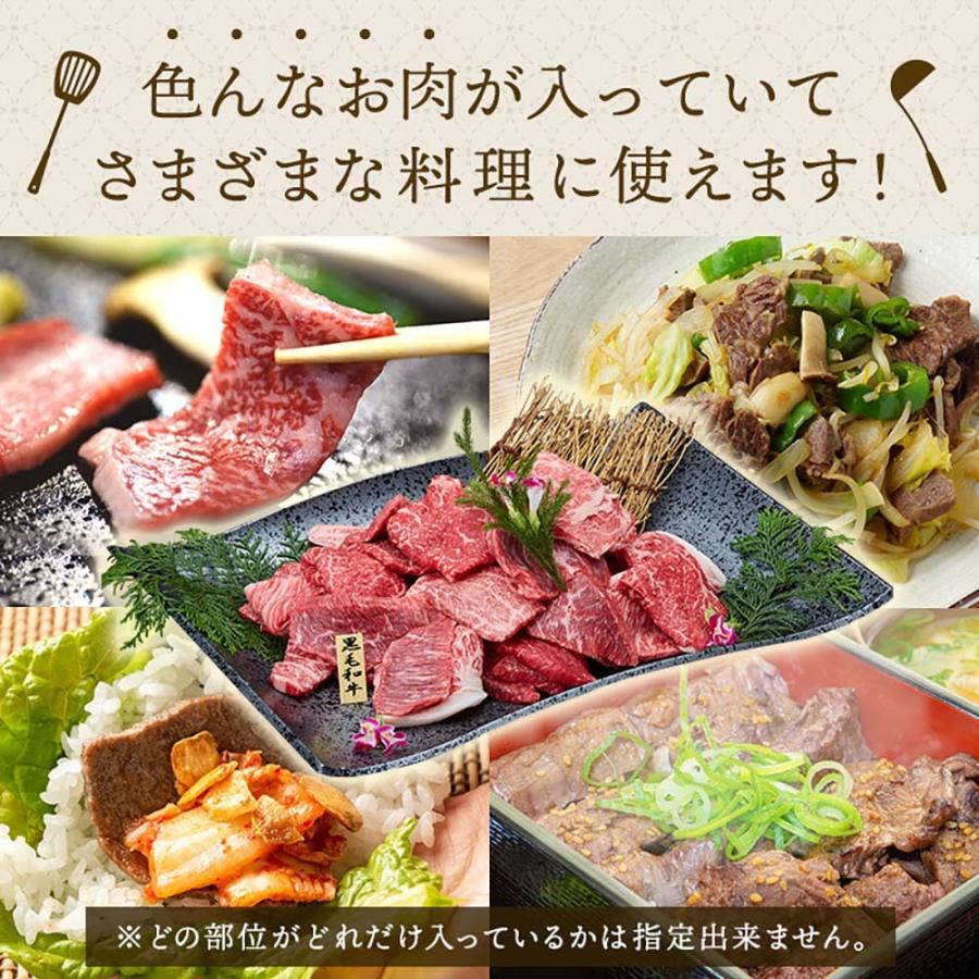 肉 ギフト 黒毛和牛 最高級 焼肉セット 霜降り 400g 焼肉 和牛 冷凍便 牛肉 プレゼント 御祝 お歳暮 贈答 誕生日 お祝い 内祝い Yh Yaks10 Yh Yaks10 みずとみ精肉店 Yahoo 店 通販 Yahoo ショッピング