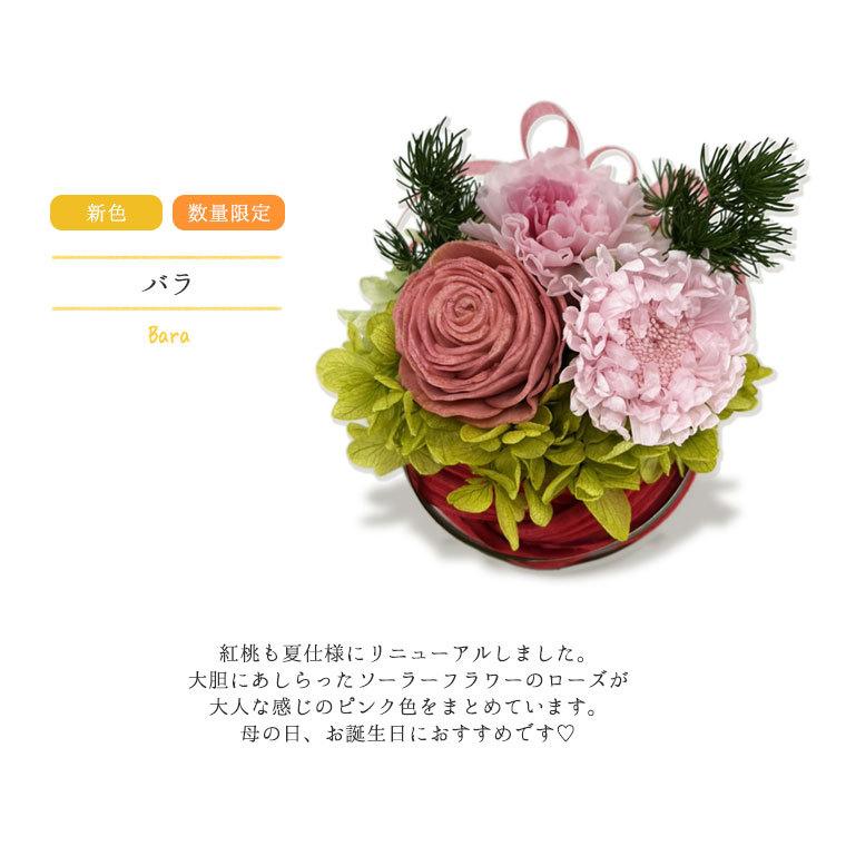 プリザーブドフラワー あす着く 新築祝い 長寿 花 ギフト 和風 プレゼント 和装 祖母 限定 クリアケース 手まり 誕生日 お祝い 女性 プチギフト 寿々花 P お花を贈るなら サンクスブーケ 通販 Yahoo ショッピング