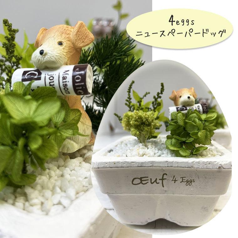 インテリアグリーン 観葉植物 インテリア 雑貨 おしゃれ 母の日 ギフト 誕生日 プレゼント 女性 寄せ植え キッチンガーデン P お花を贈るなら サンクスブーケ 通販 Yahoo ショッピング