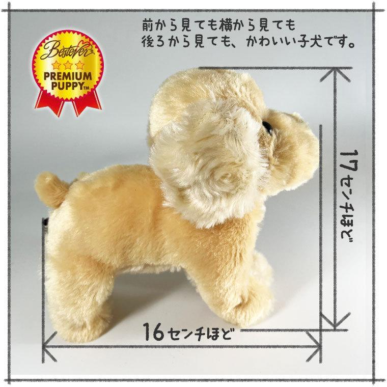 わんプチセット プリザーブドフラワー ぬいぐるみ 犬 プリザ 花 ギフト