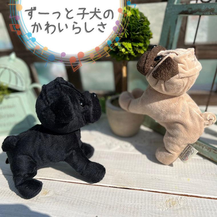 ギフト用】いぬ ぬいぐるみ 単品 17cm 誕生日 プレゼント 子ども