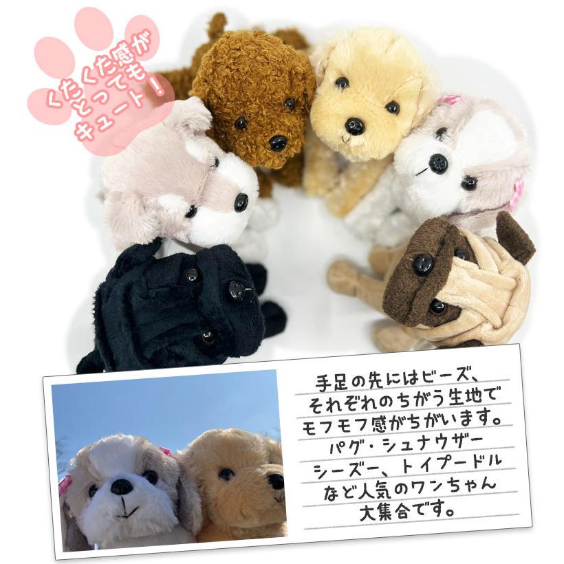 ギフト用】いぬ ぬいぐるみ 単品 17cm 誕生日 プレゼント 子ども