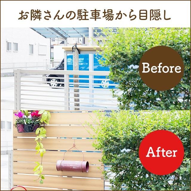 目隠しフェンス 【10枚セット 連結ボルト付】ボーダー1型 埋込タイプ 標準色 [幅100cm×高さ154cm+埋込30cm 隙間1cm]_4
