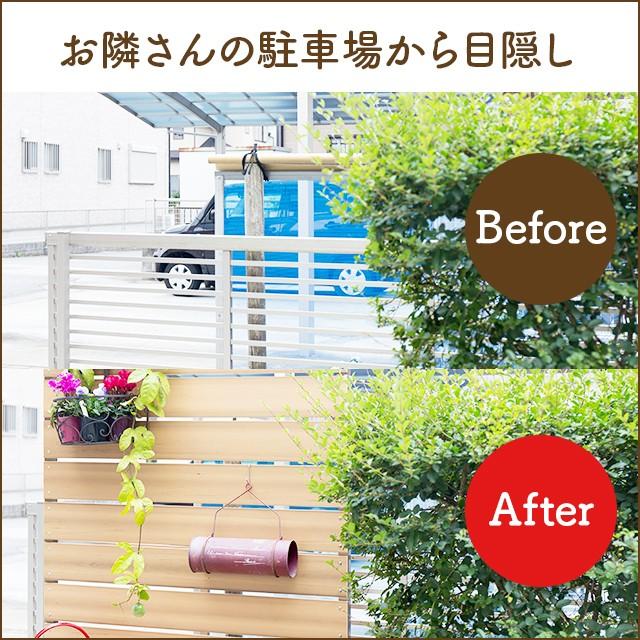 目隠しフェンス ボーダー1型 埋込タイプ 標準色 [幅100cm×高さ180cm+埋