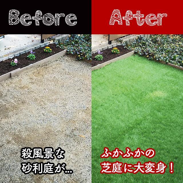 人工芝  ＼5本セット／【U字ピン80本付き】 リアルMJターフ [1ｍ×10ｍ 芝丈33mm] ロール 天然芝にそっくり。の画像