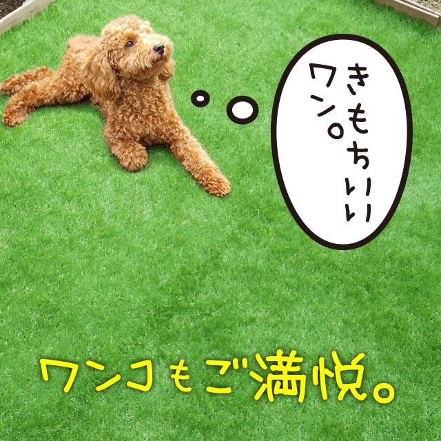 人工芝  ＼5本セット／【U字ピン80本付き】 リアルMJターフ [1ｍ×10ｍ 芝丈33mm] ロール 天然芝にそっくり。の画像