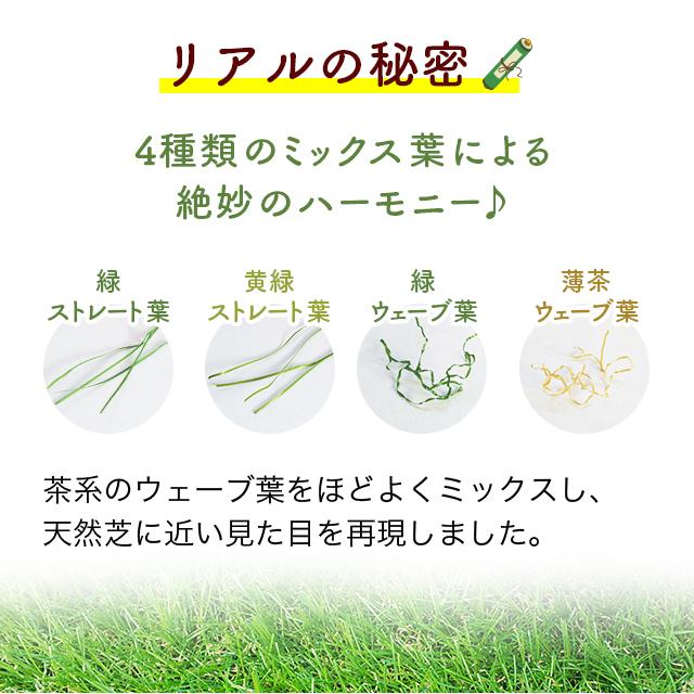 人工芝  ＼5本セット／【U字ピン80本付き】 リアルMJターフ [1ｍ×10ｍ 芝丈33mm] ロール 天然芝にそっくり。の画像
