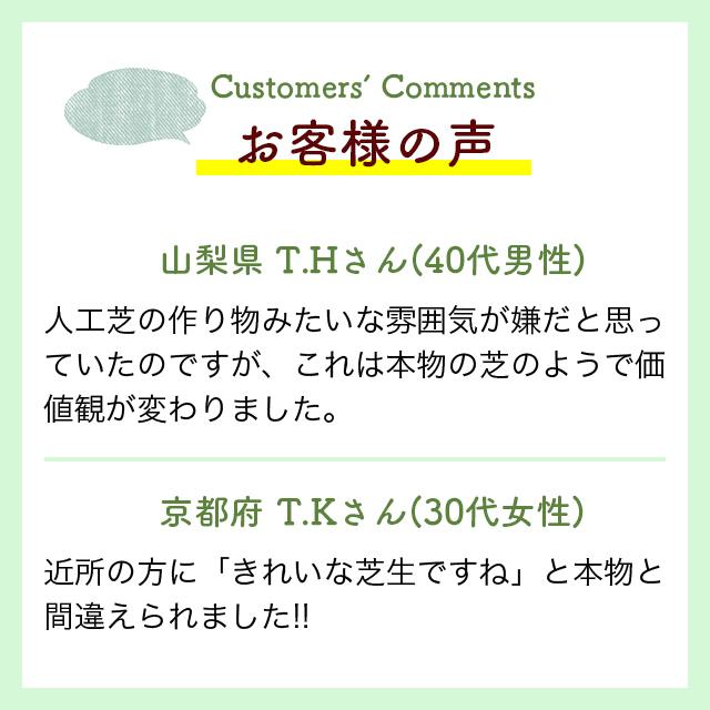 人工芝  ＼5本セット／【U字ピン80本付き】 リアルMJターフ [1ｍ×10ｍ 芝丈33mm] ロール 天然芝にそっくり。の画像