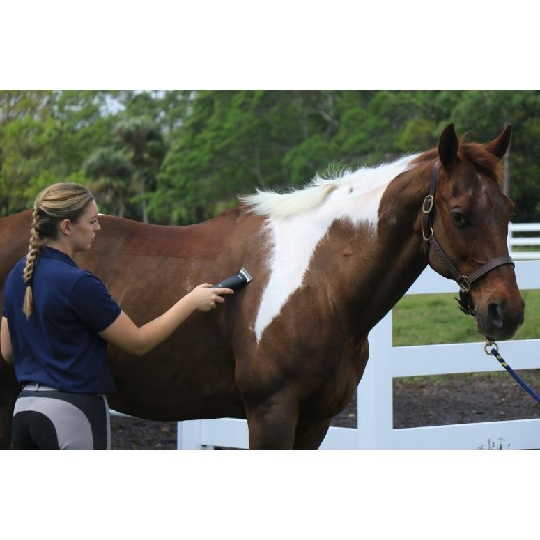 家畜用バリカン 羊 ペットグルーミング ヤギ アルパカ 農場 馬用 Oster 農場 ペットグルーミング 大型犬 牛 大型動物 クリッパー