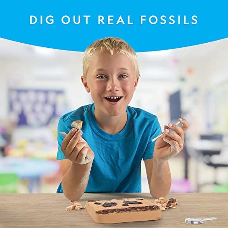 ナショナルジオグラフィック 化石発掘セット NATIONAL GEOGRAPHIC Mega Fossil Dig Kit - Excavate 15 Prehistoric Fossils Including Dinosaur Bones & Sh｜mj-market｜03