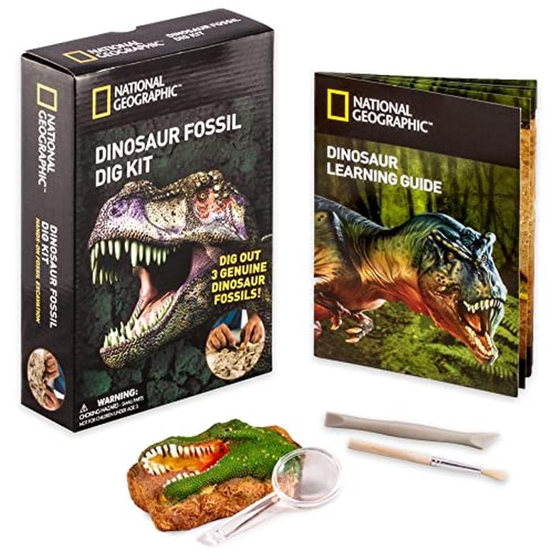 ナショナルジオグラフィック 恐竜化石発掘キット 12 Pack National Geographic? Dinosaur Fossil