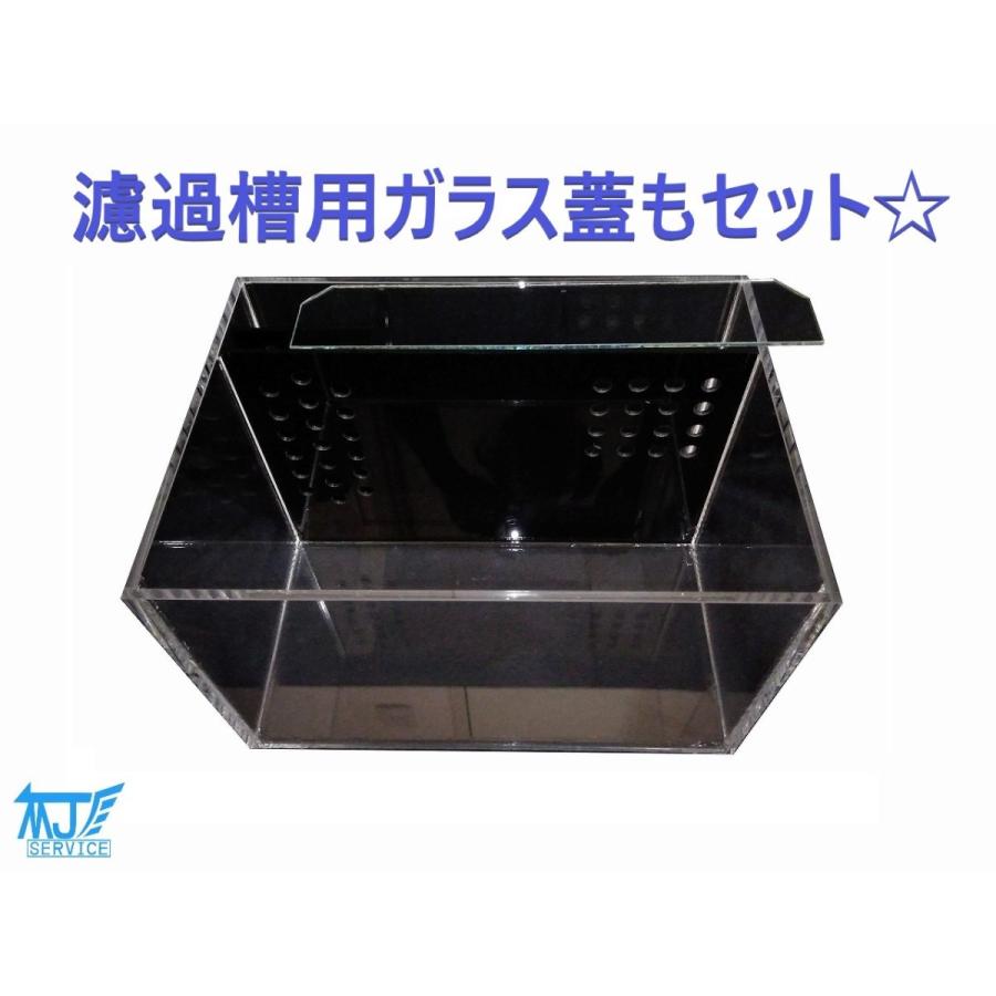 独創的 濾過槽一体型アクリル水槽 ３０ｃｍ 新しいコレクション Vinylspotnyc Com