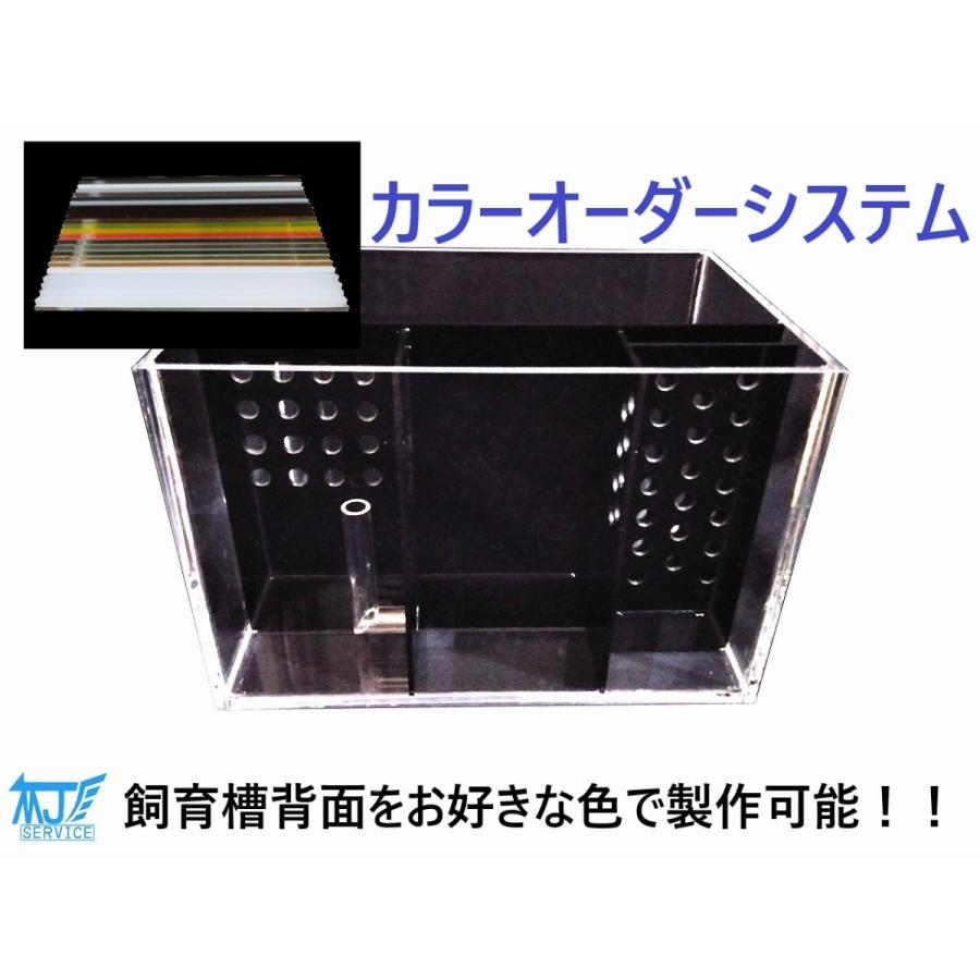 独創的 濾過槽一体型アクリル水槽 ３０ｃｍ 新しいコレクション Vinylspotnyc Com