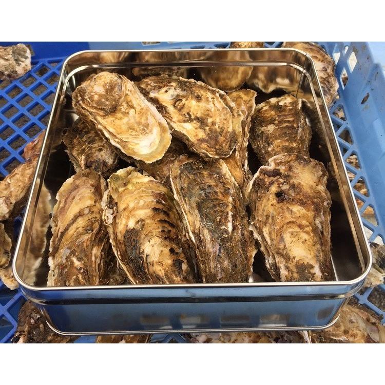 宮城県産殻付きかき（加熱用）カン缶焼きおかわりセット 1．5K入り