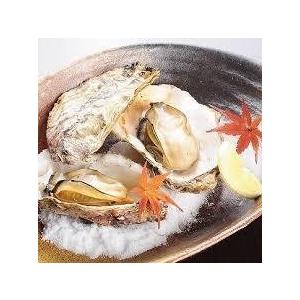 かき 殻付き 宮城県産 電子レンジで簡単 殻付きかきレンジ500g6