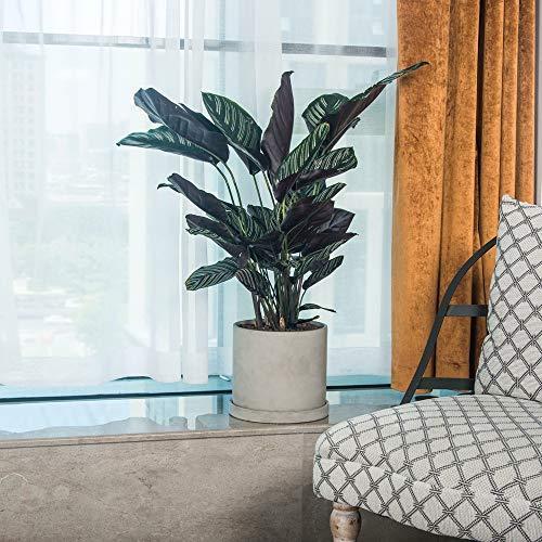 Ekirlin 植木鉢 鉢 セメント 8号 おしゃれ 大型 植物 受け皿付き コンクリート プランター 円筒形鉢 観葉植物 底穴あり耐用 シンプル グ S M Jimin 通販 Yahoo ショッピング