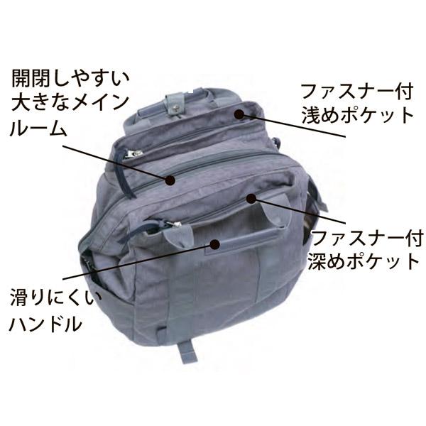 HELLY HANSEN（ヘリーハンセン） Take Me テイクミー 3Layer Daypack2