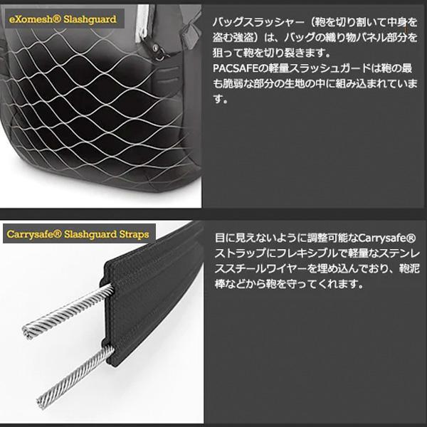 PacSafe Pacsafe V24 バックパック (12970389) 窃盗 盗難防止