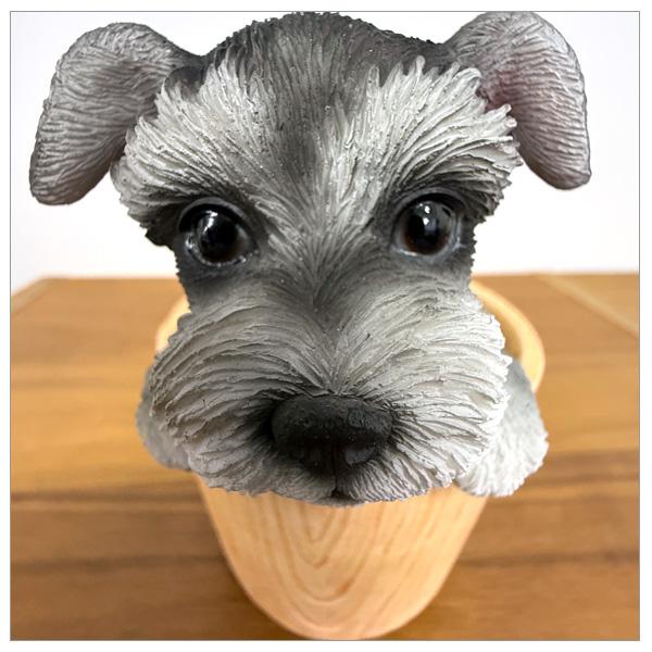 WOOBIA シュナウザー ペン立て H23238 ウービア かわいい ミニチュアシュナウザー 置き物 インテリア シュナ友 ギフト プレゼントに |  | 03