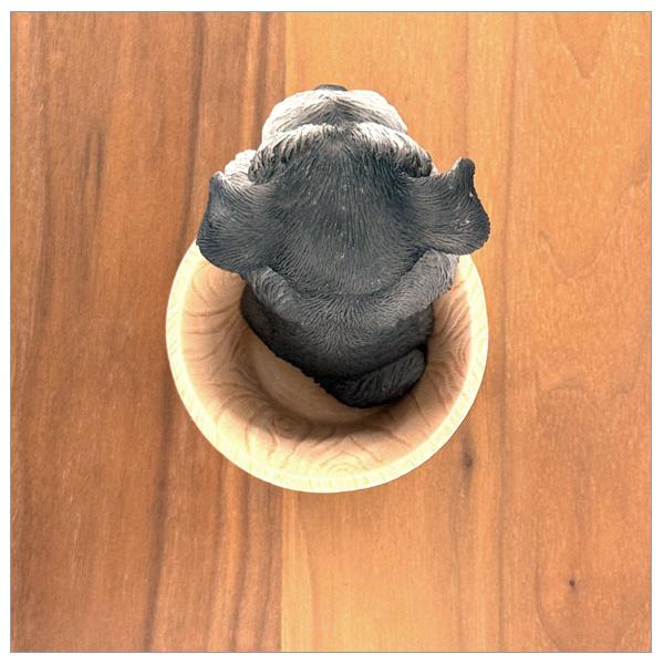 WOOBIA シュナウザー ペン立て H23238 ウービア かわいい ミニチュアシュナウザー 置き物 インテリア シュナ友 ギフト プレゼントに |  | 05