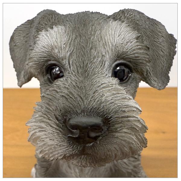 WOOBIA お座り シュナウザー (小) H16259 ウービア かわいい