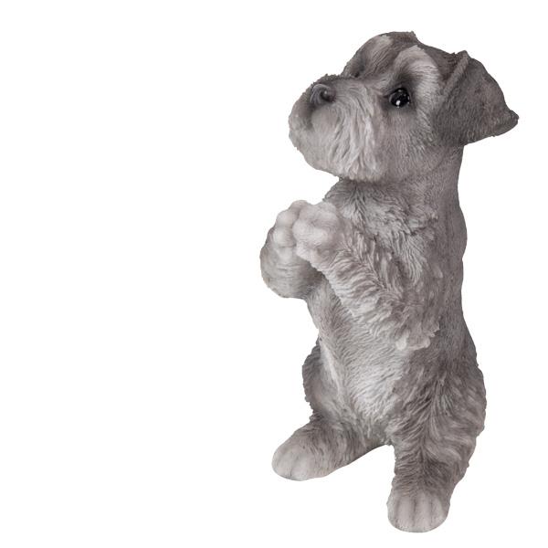 WOOBIA おねだり シュナウザー H17327 ウービア かわいい ミニチュア