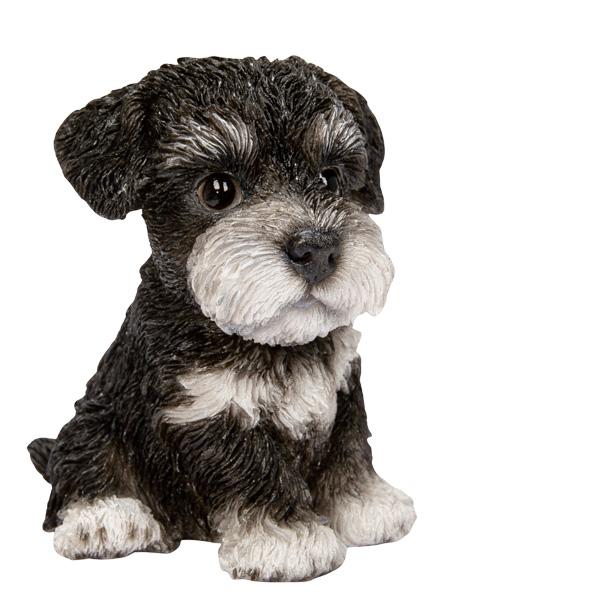 WOOBIA お座りシュナウザー（小） H25096 ウービア かわいい