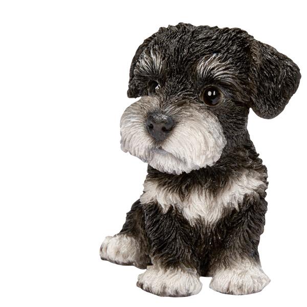 WOOBIA お座りシュナウザー（小） H25096 ウービア かわいい ミニチュアシュナウザー 置き物 インテリア シュナ友 ギフト プレゼントに |  | 02