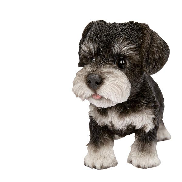 WOOBIA 立つシュナウザー（小）H25097 ウービア かわいい ミニチュアシュナウザー 置き物 インテリア シュナ友 ギフト プレゼントに |  | 01