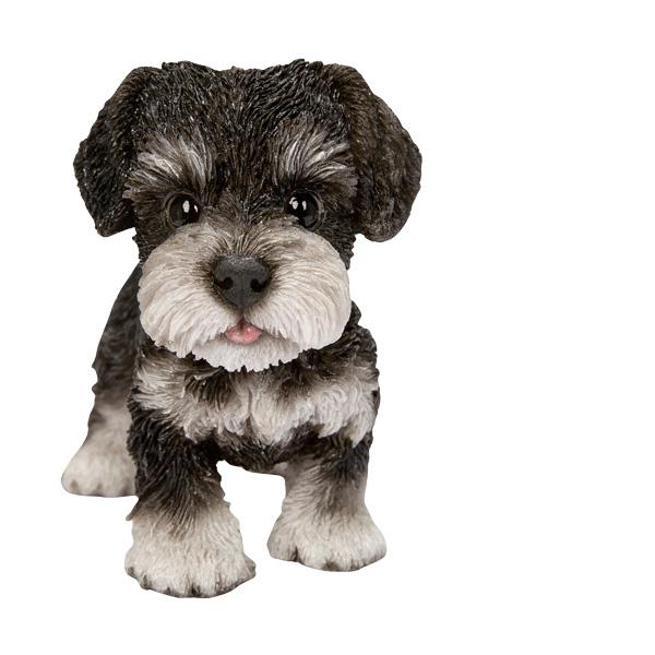 WOOBIA 立つシュナウザー（小）H25097 ウービア かわいい ミニチュアシュナウザー 置き物 インテリア シュナ友 ギフト プレゼントに |  | 02