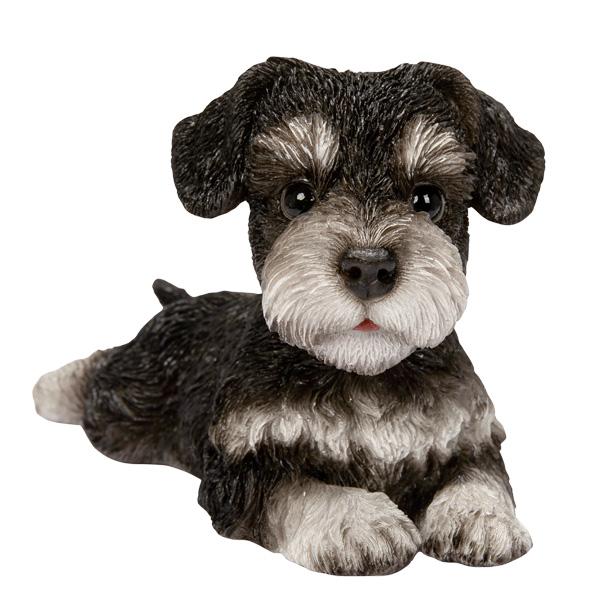 WOOBIA リラックス シュナウザー（中）H25106 ウービア かわいい ミニチュアシュナウザー 置き物 インテリア シュナ友 ギフト プレゼントに |  | 02