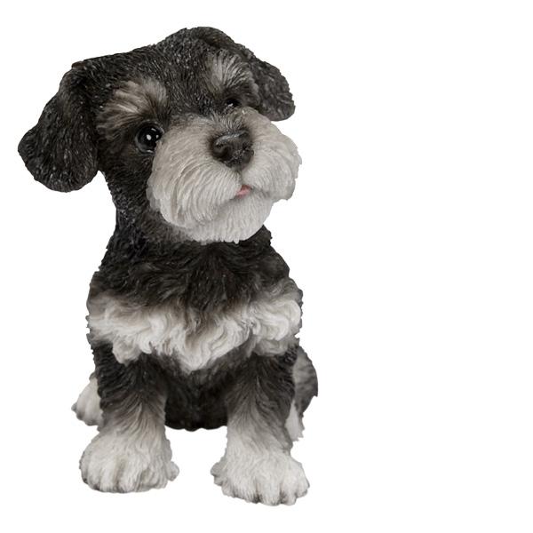 WOOBIA お座りシュナウザー黒白（中） H25170 ウービア かわいい ミニチュアシュナウザー 置き物 インテリア シュナ友 ギフト プレゼントに |  | 02