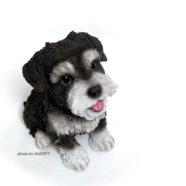 WOOBIA お座りにっこり シュナウザー　黒白  ウービア かわいい ミニチュアシュナウザー 置き物 インテリア シュナ友 ギフト プレゼントに |  | 05