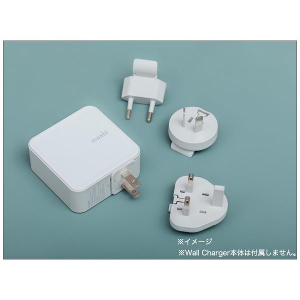 moshi ProGeo専用 海外旅行用 変換アダプターパック 4種セット moshi ProGeo Adapter Pack ホワイト 米国 イギリス オーストラリア 欧州対応 | moshi | 03