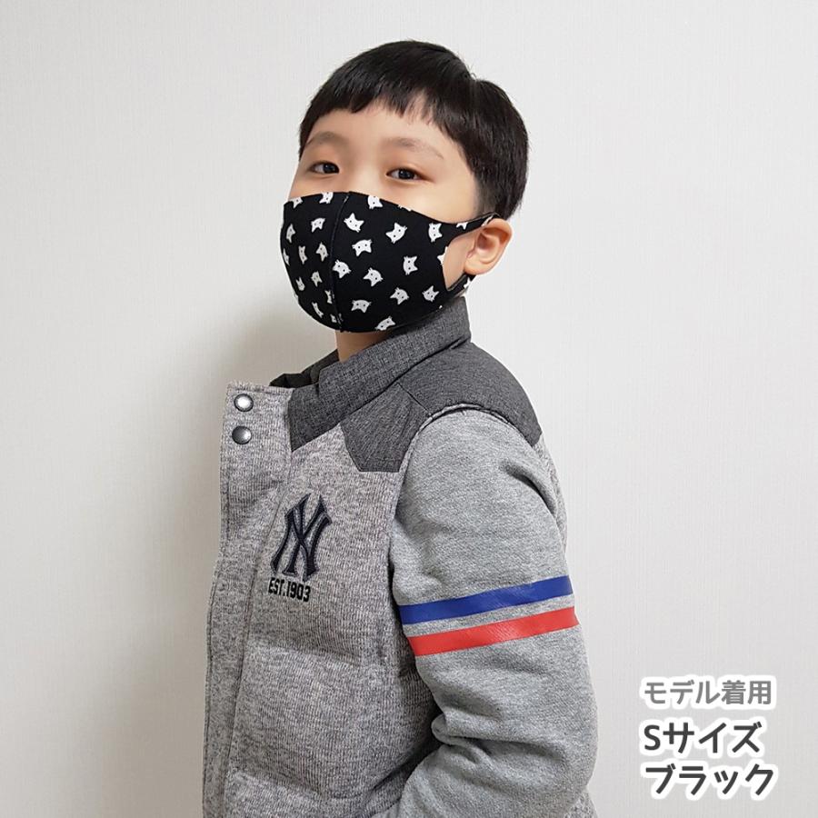 猫柄 春 送料無料マスク ケース付き3枚セット日本企画 三層 立体構造 抗菌 子ども キッズ 在庫あり洗える サイズあり |  | 06