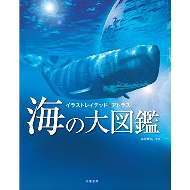 海の大図鑑 イラストレイテッド アトラス 旅 海外 Vest Doctum Edu Br